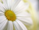 Frühling