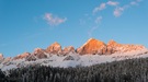 Rosengarten im Abendlicht