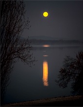 Vollmond auf der Mettnau