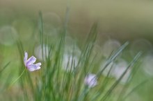 Frühling und bewährte Optik