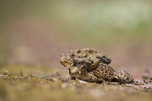 Bitte keine Fotos mehr!!!