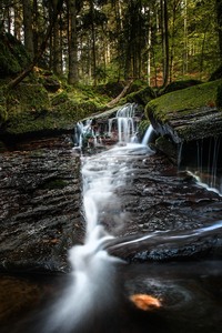 im Nordschwarzwald