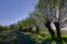 Frostig-Sonnig