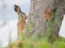 Echt, ist Ostern schon vorbei?