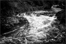 In der Vintgar Klamm