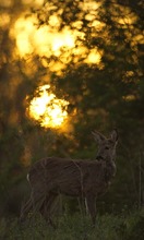 "...Sonne geht auf..."