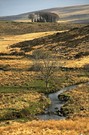 Dartmoor ....einfach mal so zwischendurch