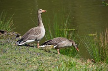 Familienausflug