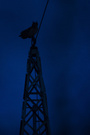 Aussichtsturm für einen Jäger