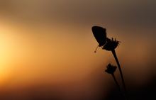 Die Abendsonne genießen