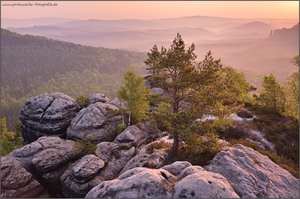 Morgens im Elbsandstein