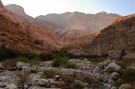 En Gedi