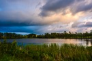 Abend am Teich