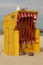 Strand und Sonne mögen nicht nur Menschen ...