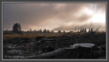 ND - Naturschutzgebiet Steinley im Hohen Venn (01878)