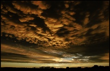 Cumulonimbus mammatus (ND)