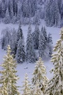 Am Caumasee ND
