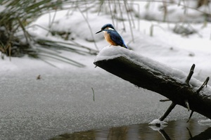 Eiszeit