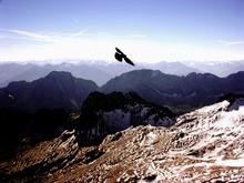 Auf der Zugspitze