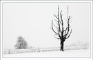 Tristesse an einem Wintertag
