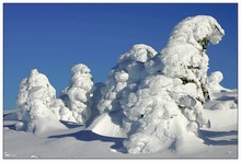 Winter auf dem Brocken