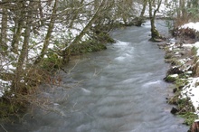 Bachlauf im Winter