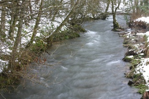 Bachlauf im Winter