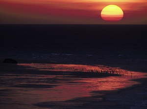 Abendstimmung, Bretagne 2007/II