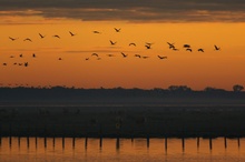 Morgenstimmung...