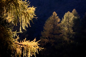 Herbst in den Nockbergen 1