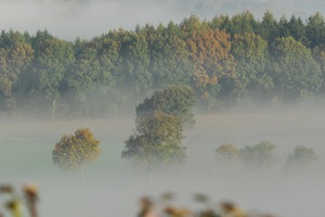 Nebel im Tal II