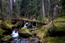 Herbst in den Nockbergen 5