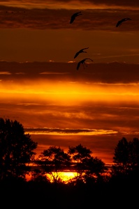 Sonnenaufgang...