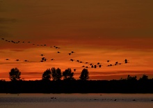 Flug zum Schlafplatz