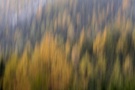 Herbst in den Nockbergen 9
