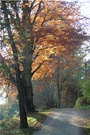 Herbstweg