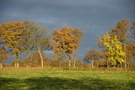 Ostfriesische Landschaft