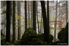 Fränkische Schweiz