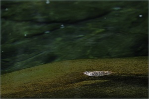 Wasser und Stein