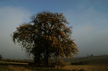 die schöne Seite des Herbst