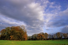 Herbst in der Emsaue