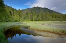 Meares Island (Kanada)