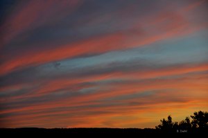 Blick vom Balkon