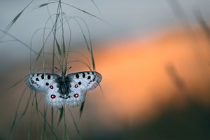 Im Licht des Steinbruchs