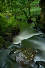 Frisches aus der Eifel