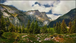 Schweizer Alpen