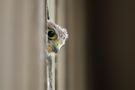 Blick in die neue Welt
