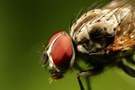 mal kurz im Garten unterwegs gewesen