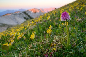 ~ meine Welt ... die Berge ~