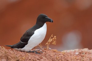 Besuch auf der oberen Etage